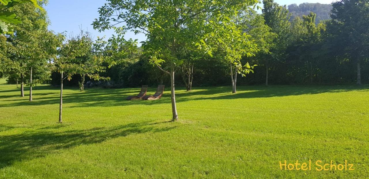 Single Room Garden View,1774529262:JPEG