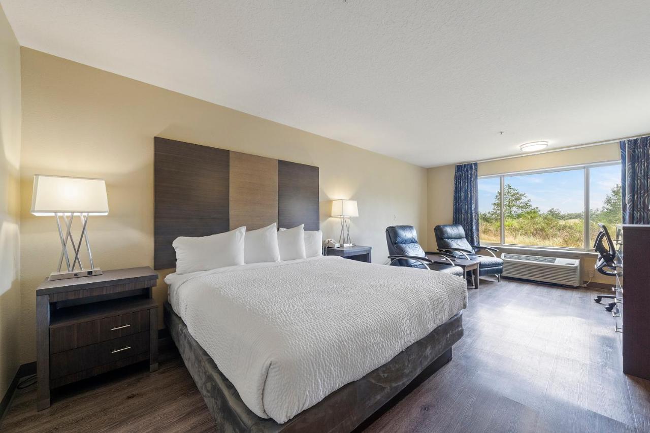 Standard Single King Room - No View