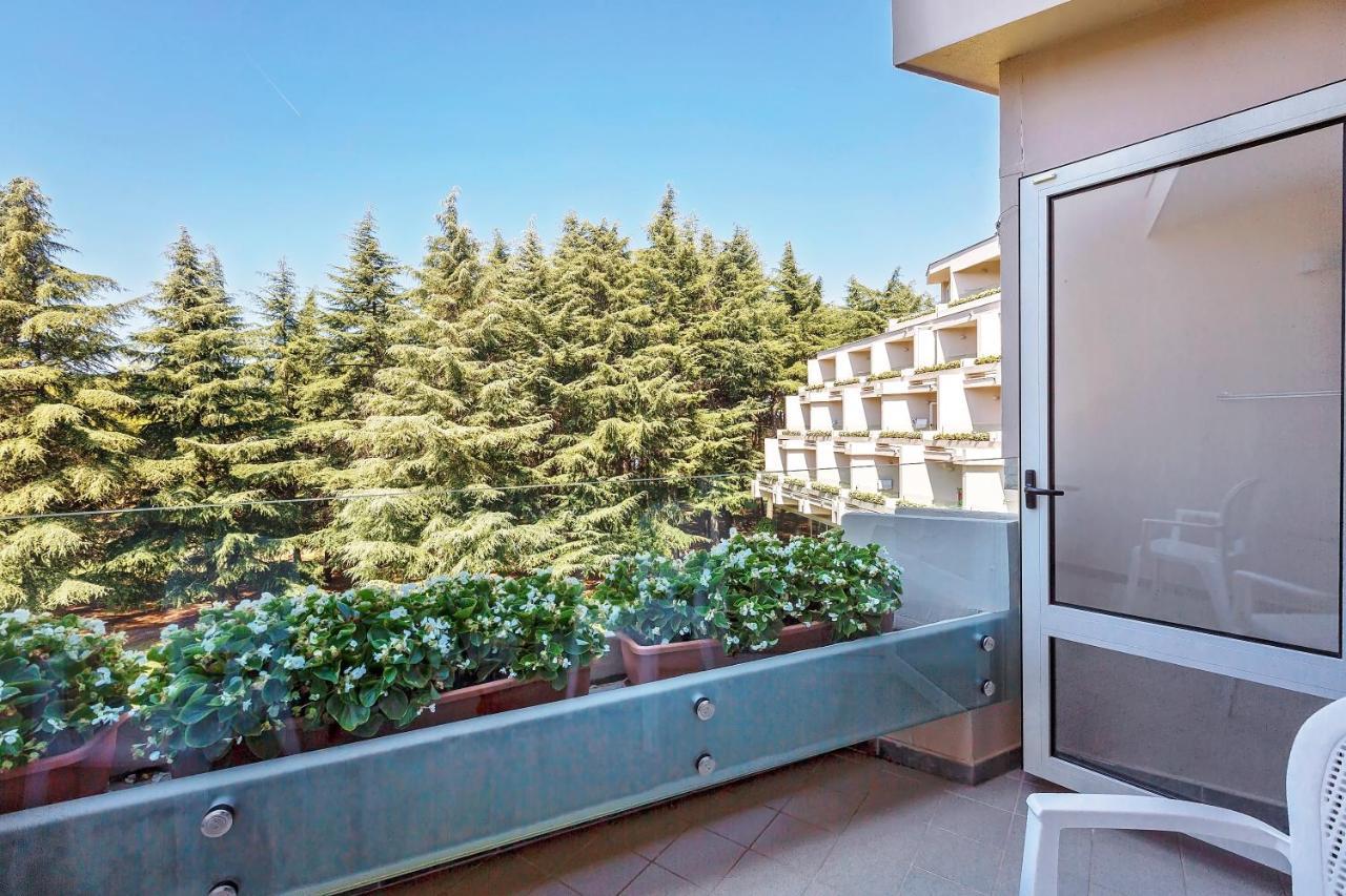 Classic Room with Balcony - Park Side