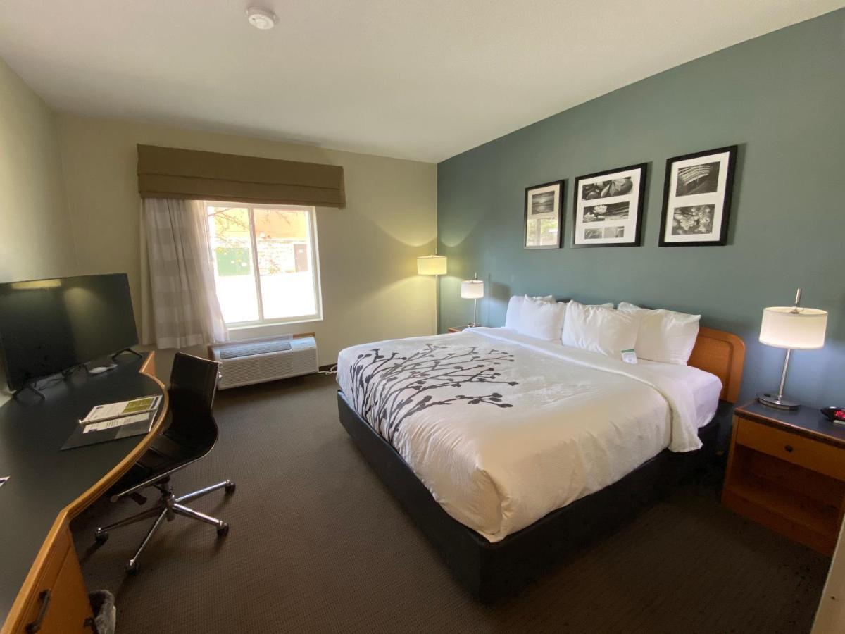 King Room - Non-Smoking