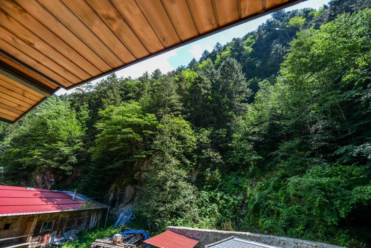 Dört Kişilik Oda - Balkonlu