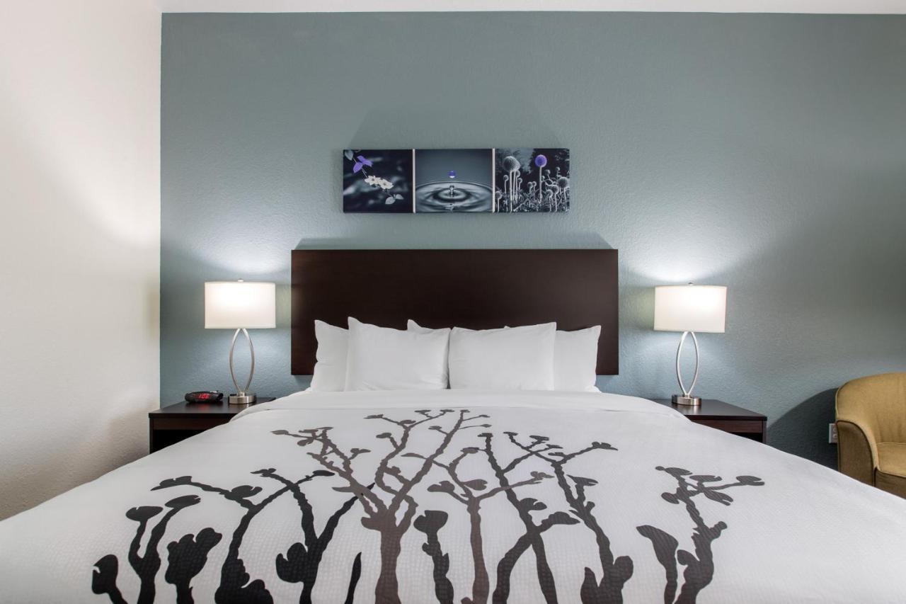 One-Bedroom King Suite with Sofa Bed - Non-Smoking