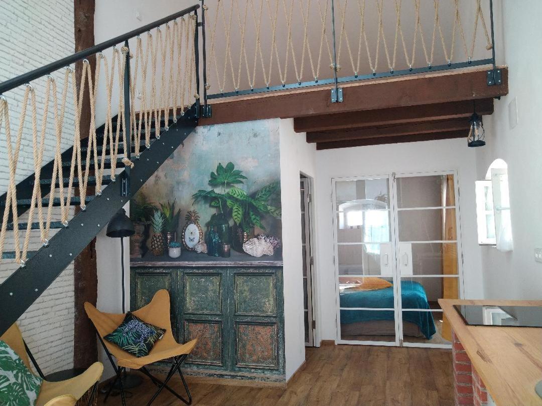 Appartement - Rez-de-Chaussée