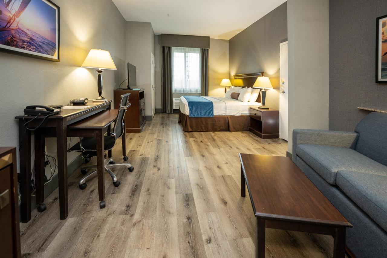 One Room Suite - Non Smoking