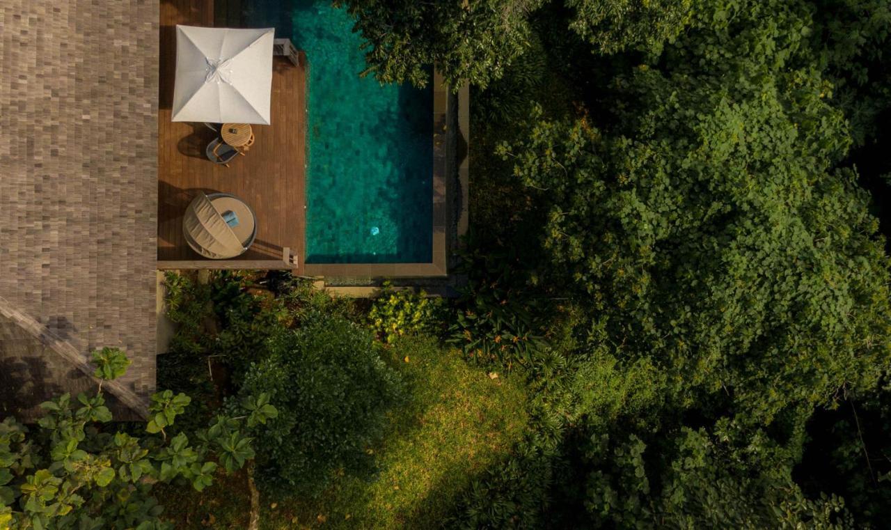 Jungle Pool Pavilion