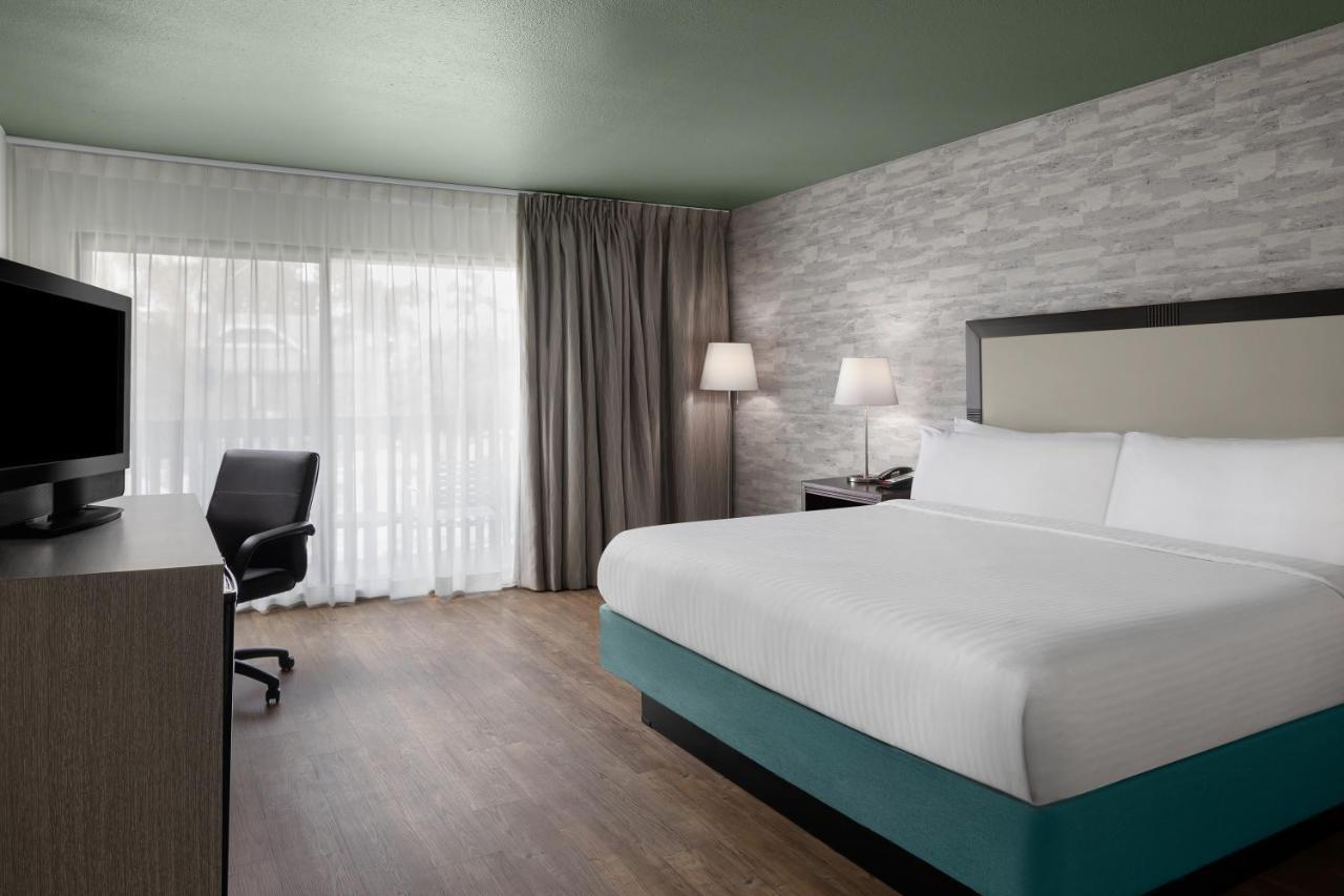 King Room with Roll-In Shower and Pool View - Mobility Accessible
