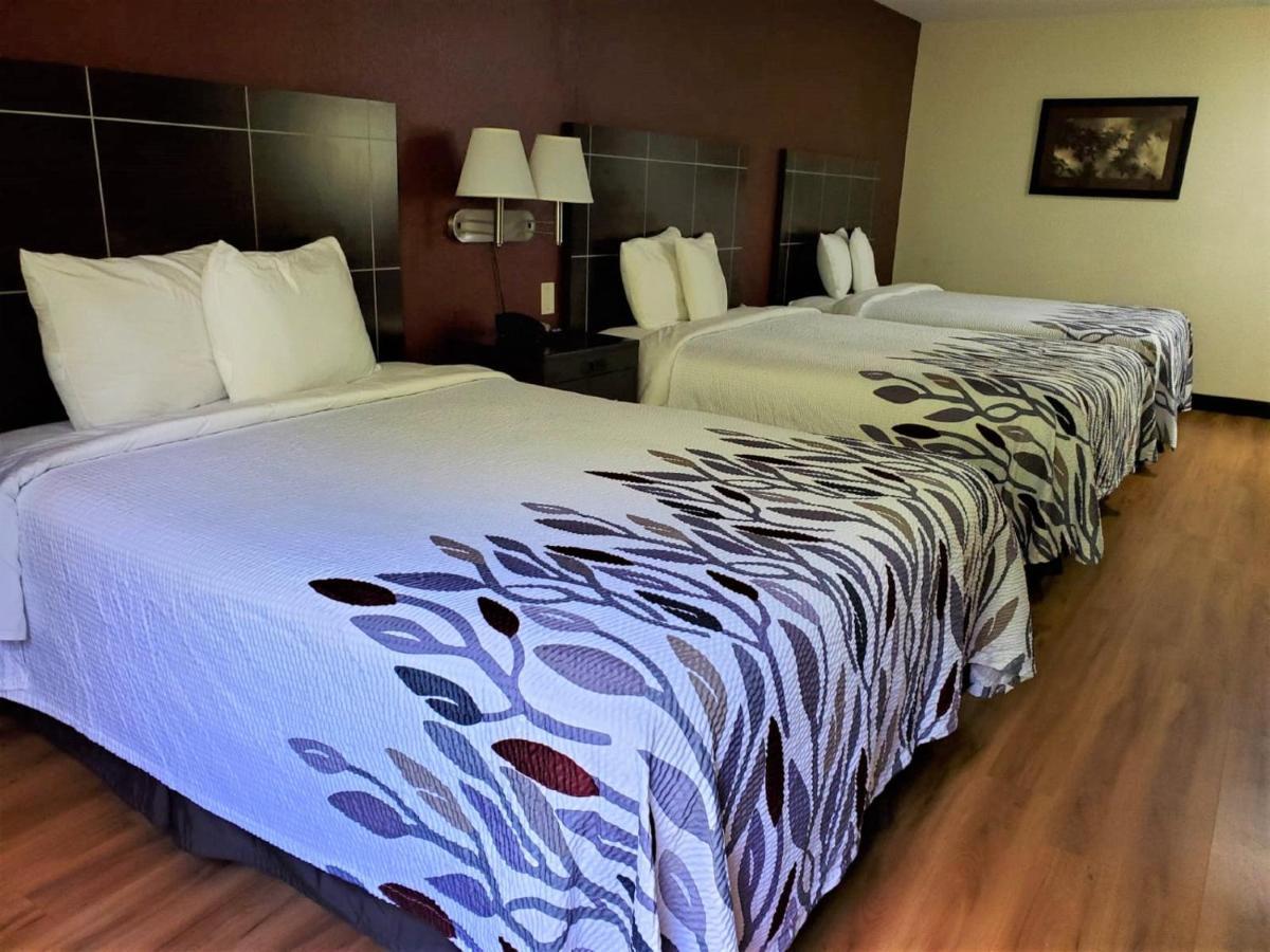 Habitación Deluxe - 3 camas grandes - No fumadores