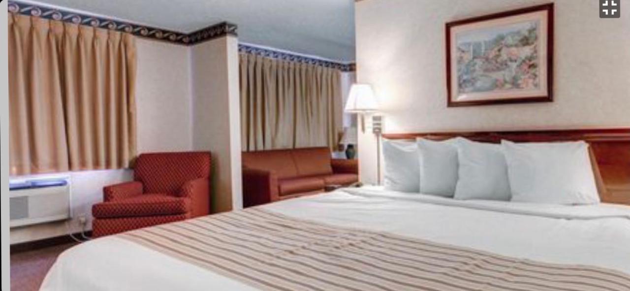 Estudio con cama extragrande y sofá cama