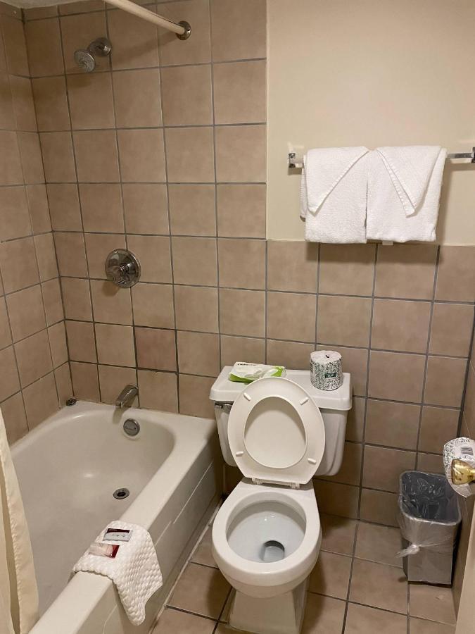 Standard Room with Two Double Beds - Non-Smoking - Pet Friendly