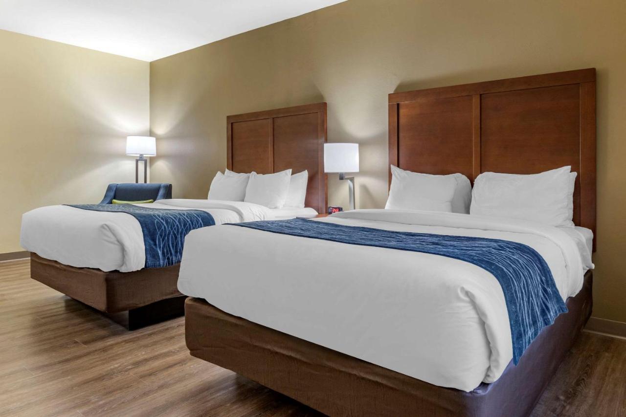 Standard Queen Room with Two Queen Beds - Non-Smoking