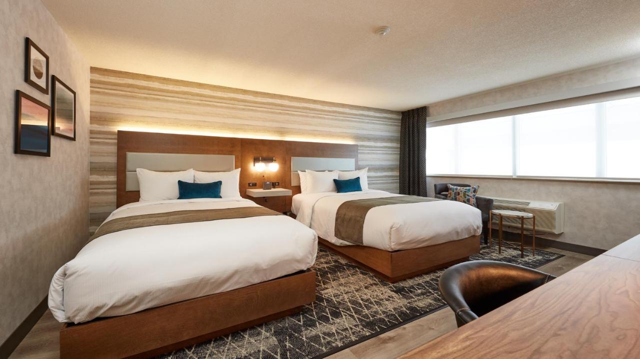 Business Room with Two Queen Beds - Fully Renovated 2021,1041167395:JPEG