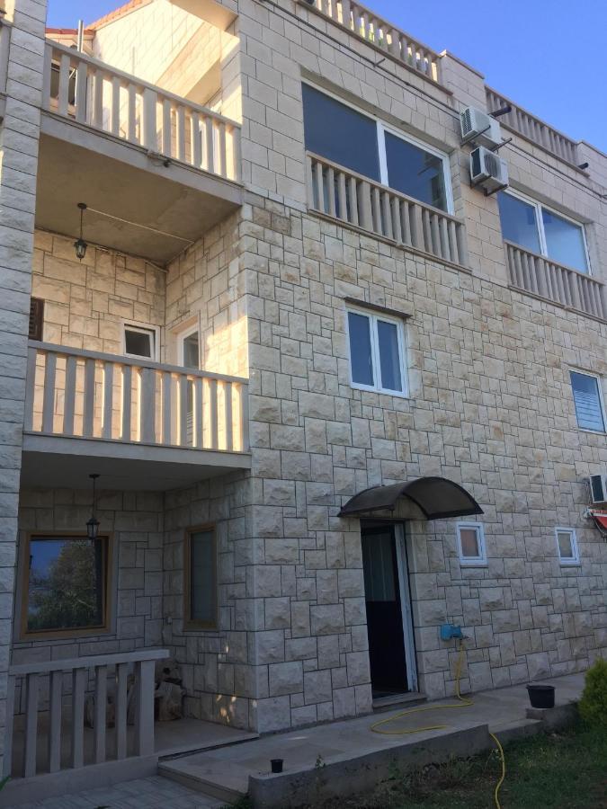 Apartment - Erdgeschoss