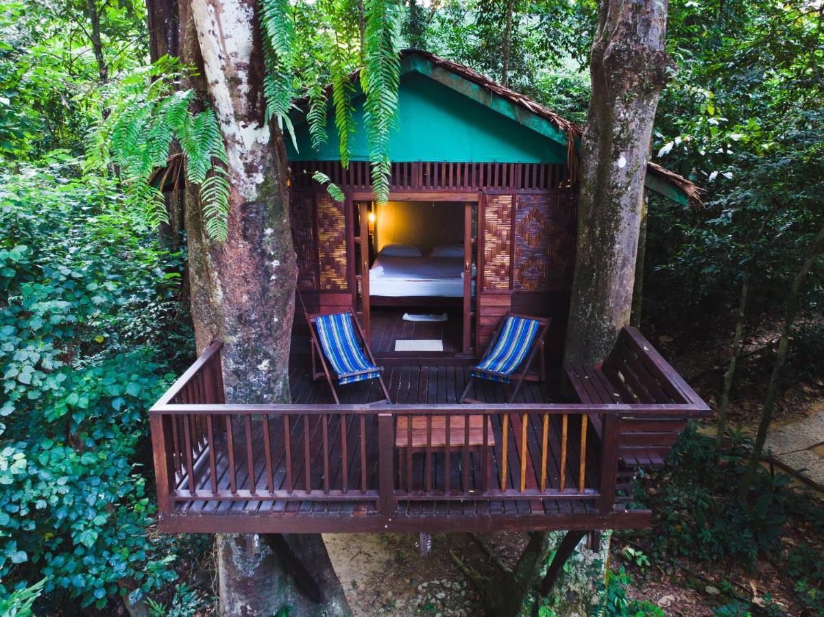 Cabane Double dans les Arbres