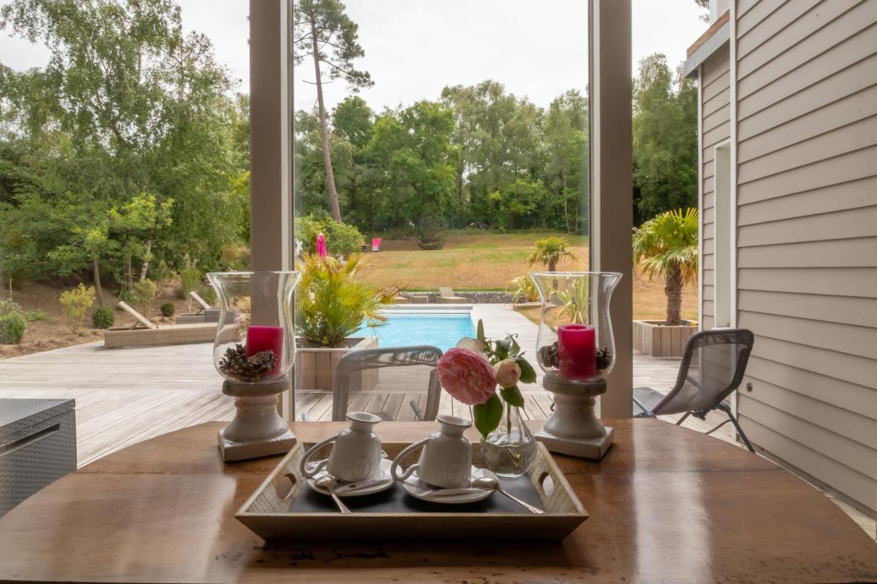 King Room Garden View