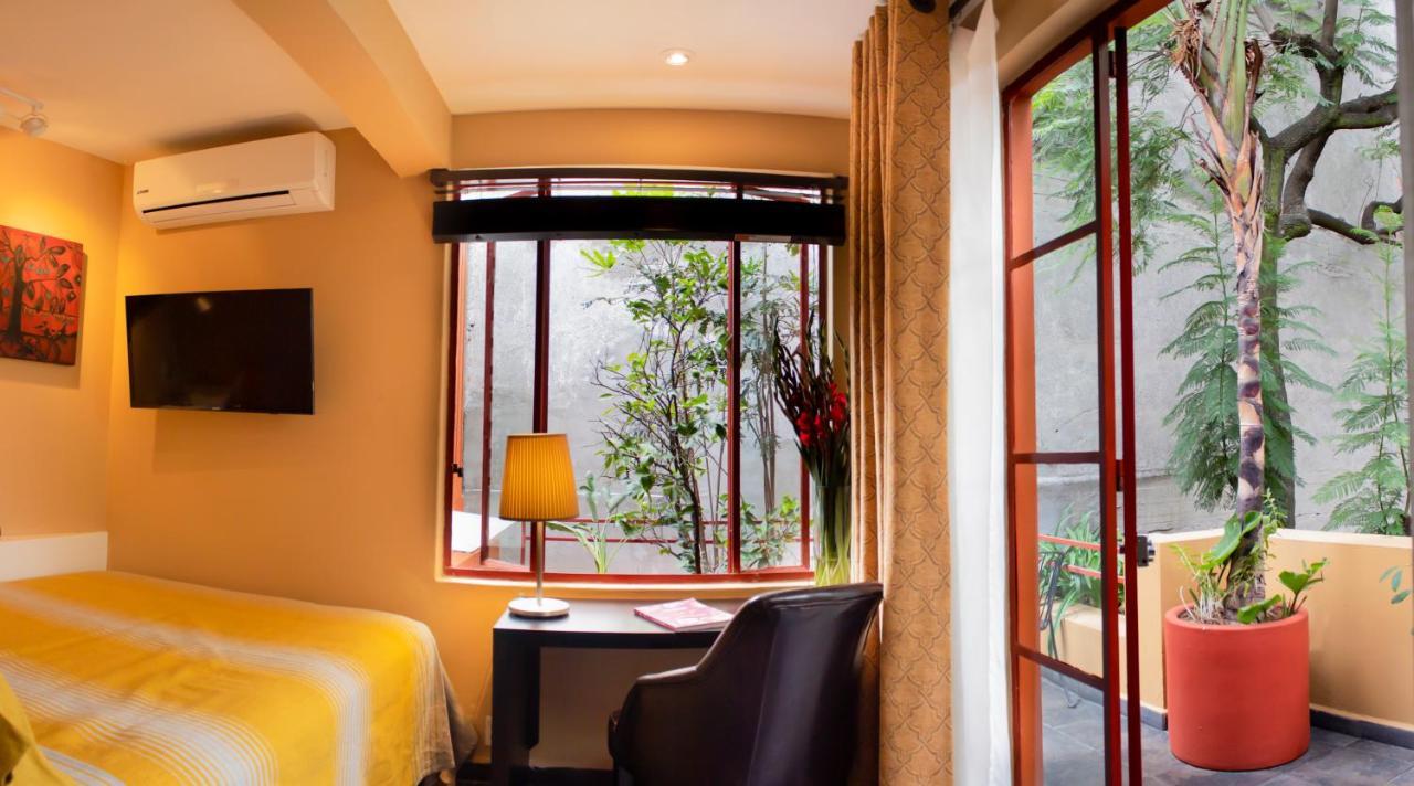 Single Room with Terrace
