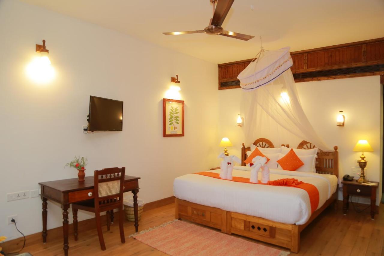 Ayurveda Panchkarma / Stress Management Program - Hill View Palace Deluxe Room
