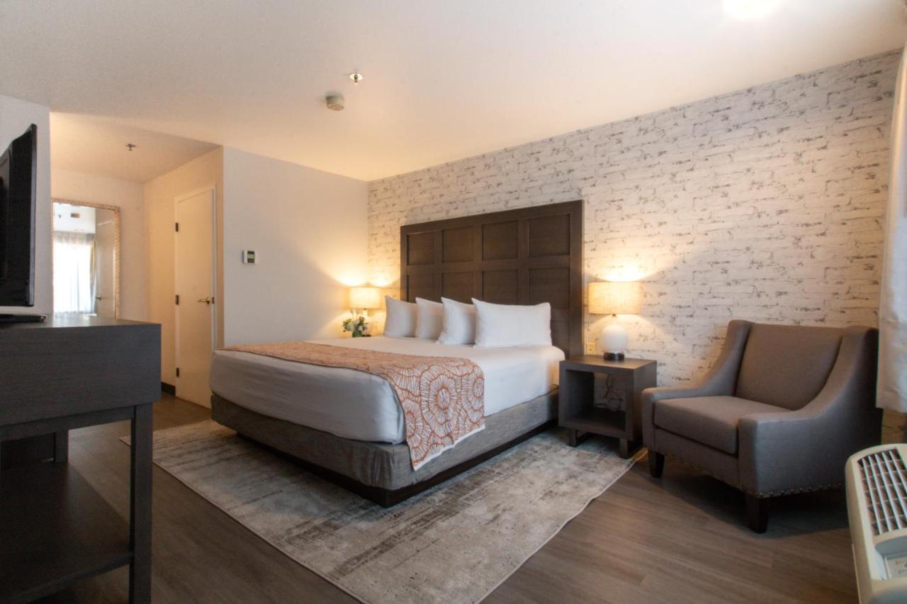 Two Room Family Suite 2 King 2 Bathroom Sleeper Sofa