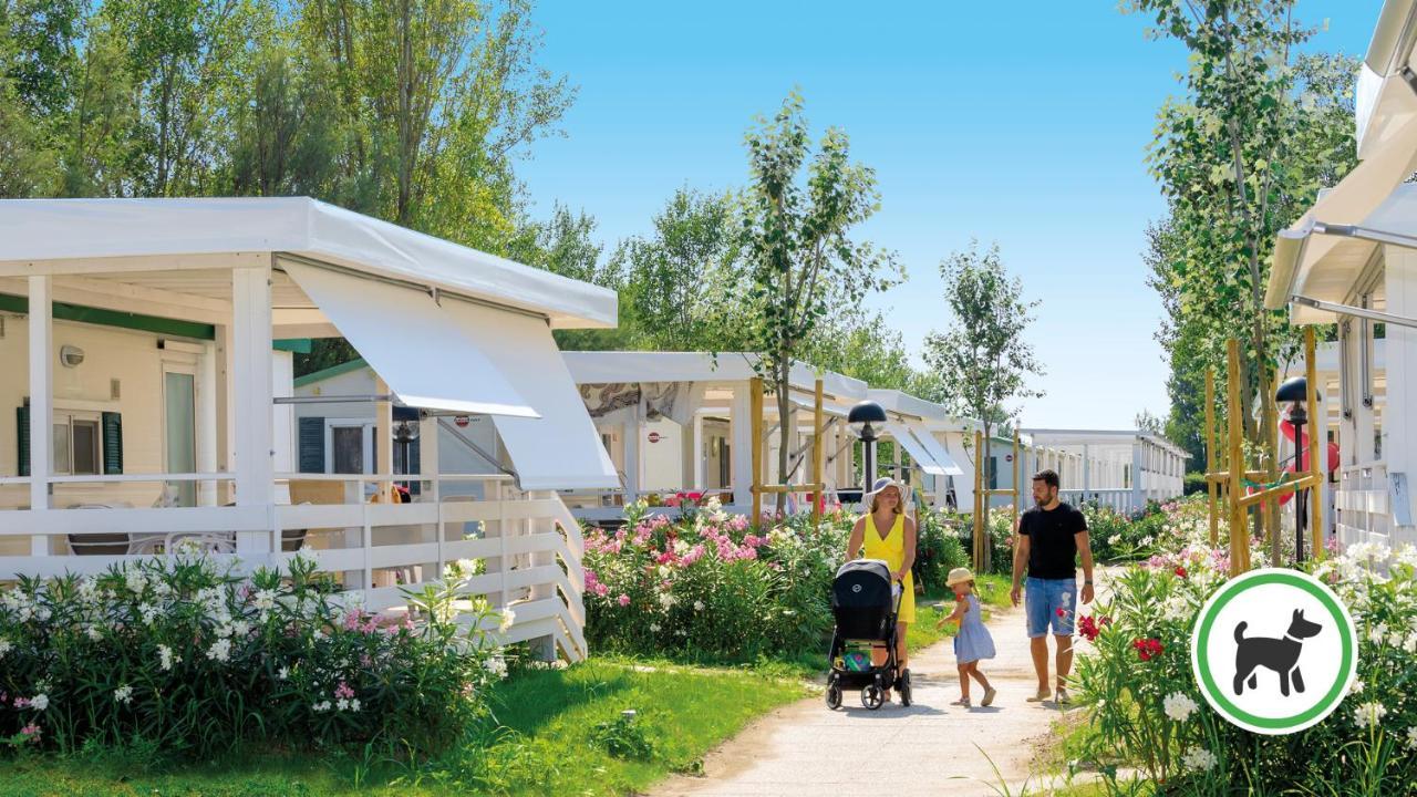 Larger Two-Bedroom Mobile Home - Garden view