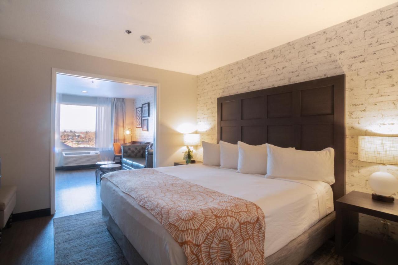 Executive King Suite Sleeper Sofa
