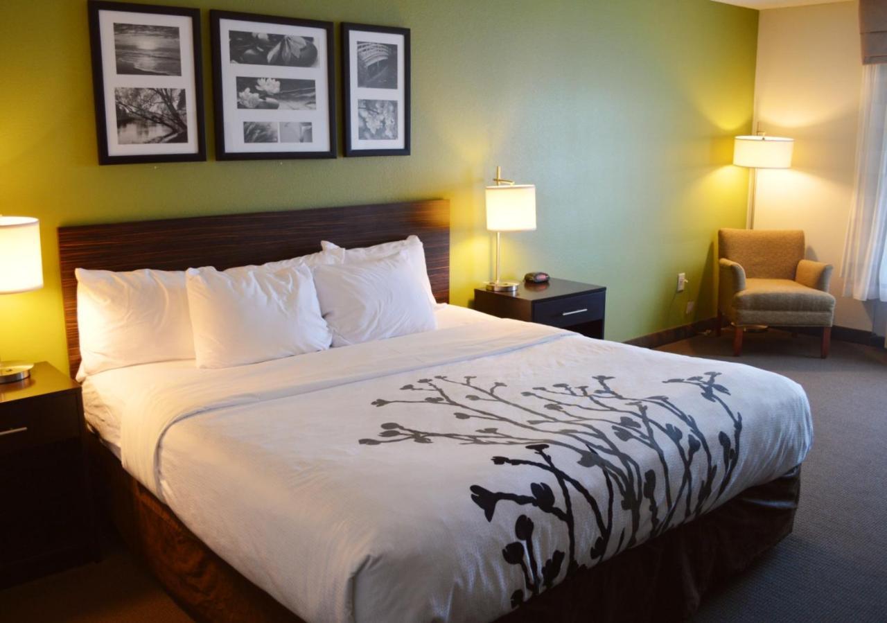 King Room - Accessible/Non-Smoking