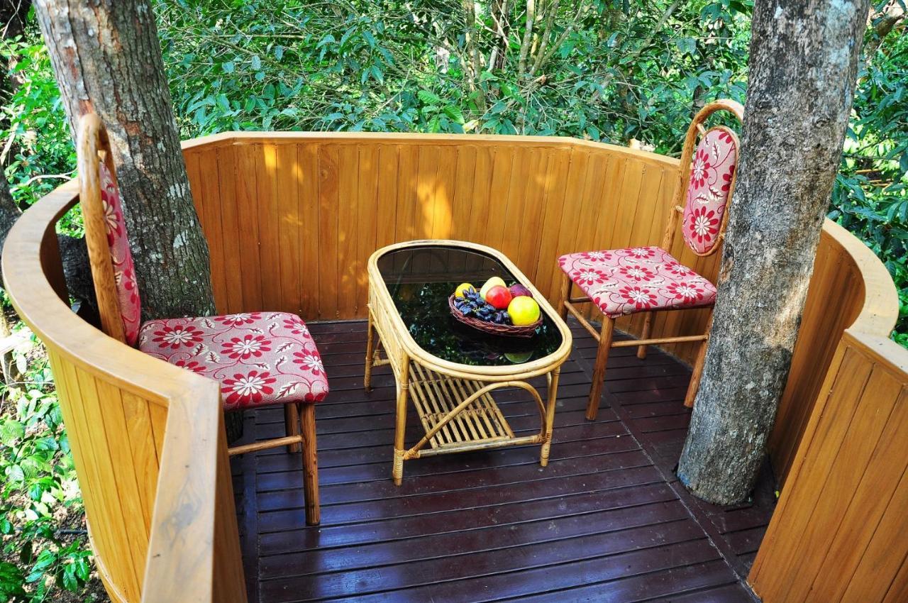 Tree House