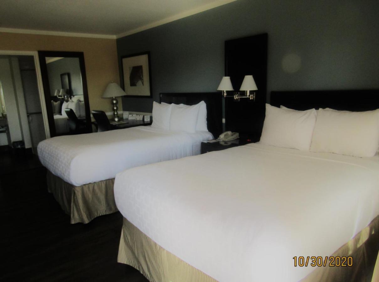 Standard Double Room with Two Double Beds