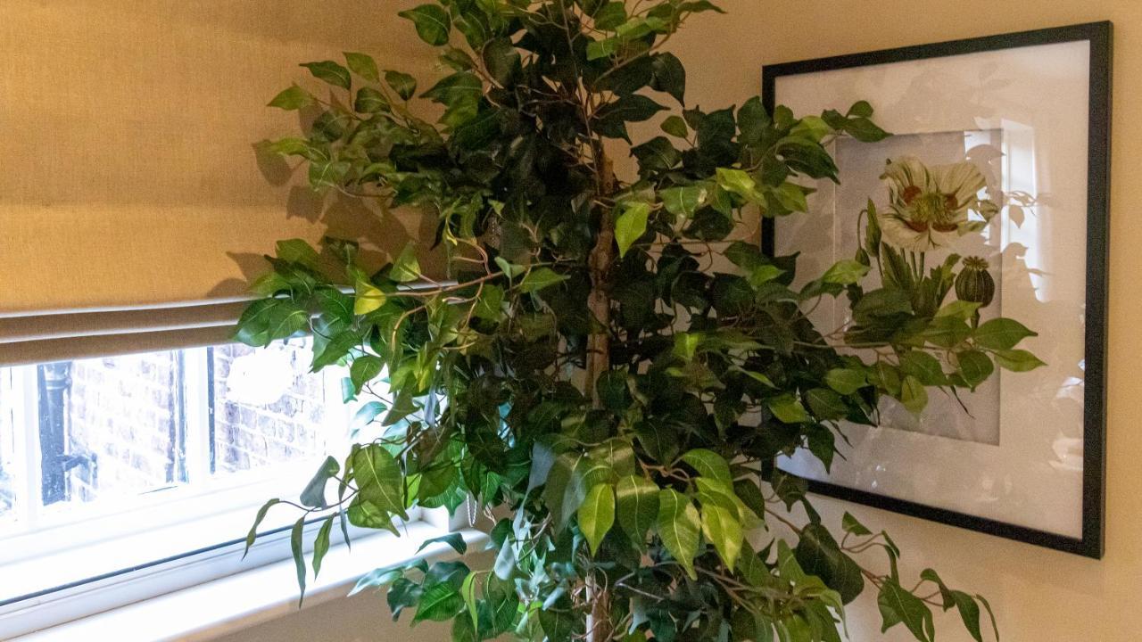Secret Garden - (One Bedroom Apartment)