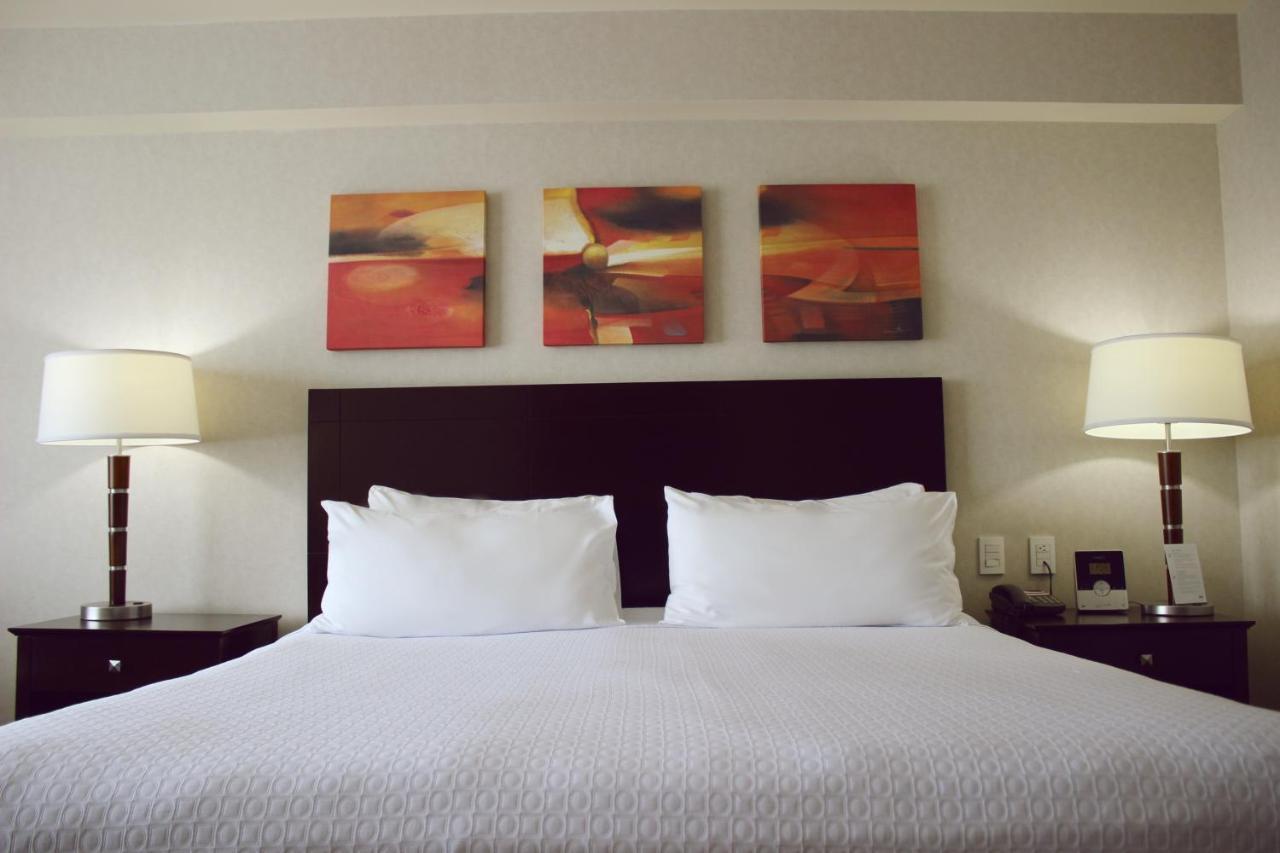 Suite con cama extragrande
