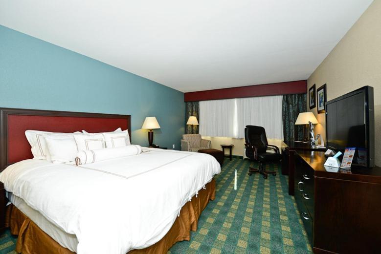 King Room - Non-Smoking
