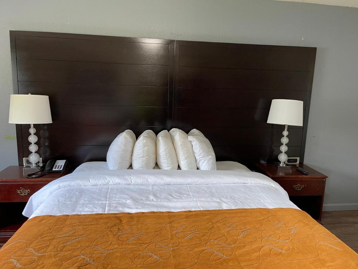 Large Single Room