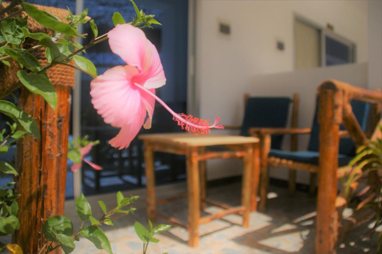 Chambre Lit Queen-Size avec Terrasse
