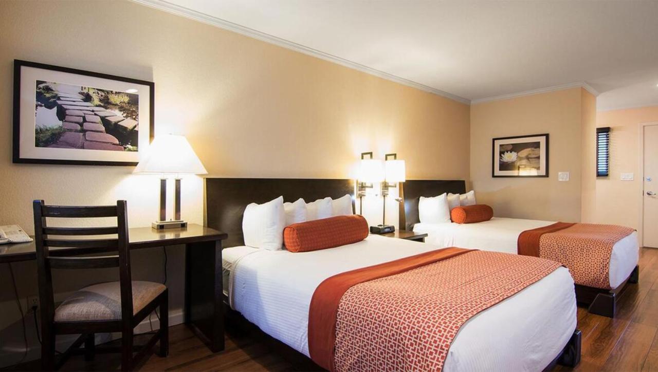 Deluxe Queen Suite