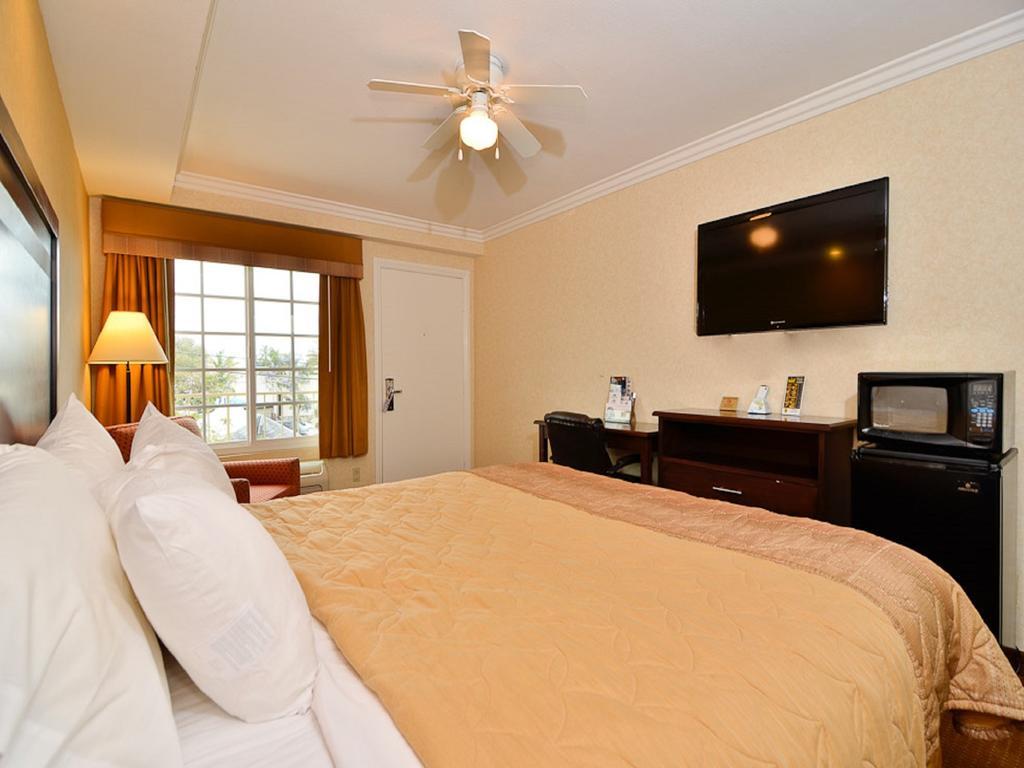 Standard King Room - Non-Smoking