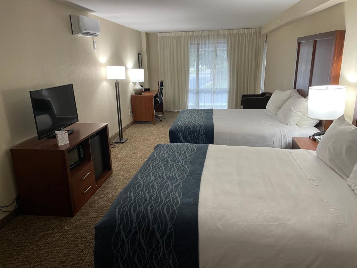 Standard Queen Room with Two Queen Beds - Non Smoking