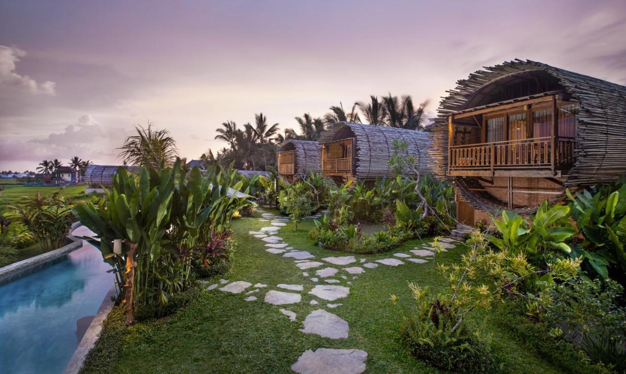 Duplex Suite Room Exclusive Rice Field View,1125430779:JPEG