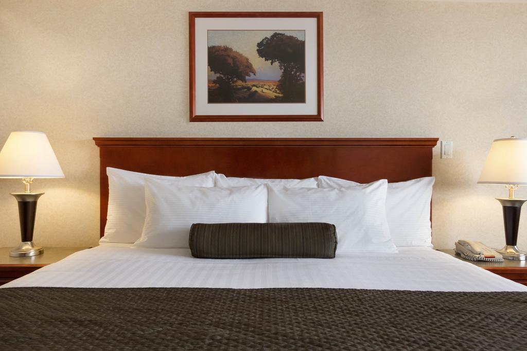 King Room - Non-Smoking