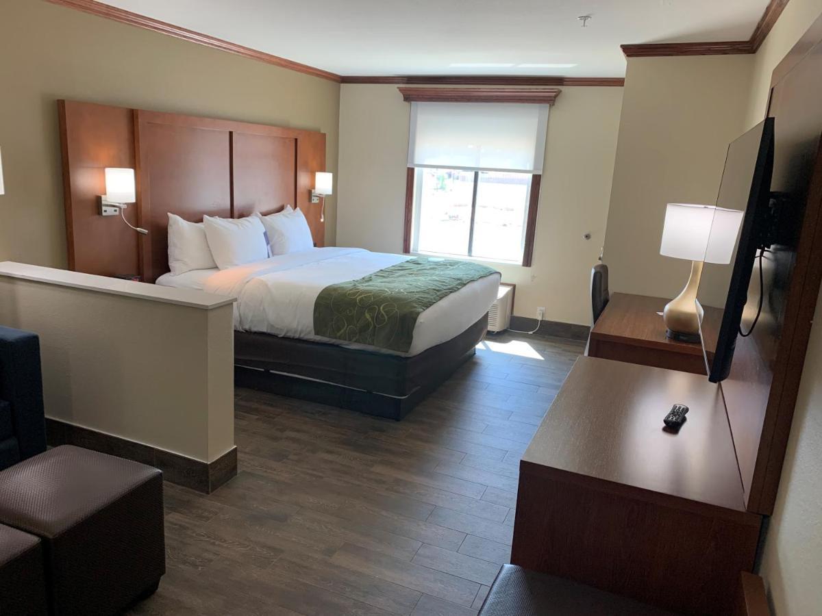 King Suite with Sofa Bed - Non Smoking