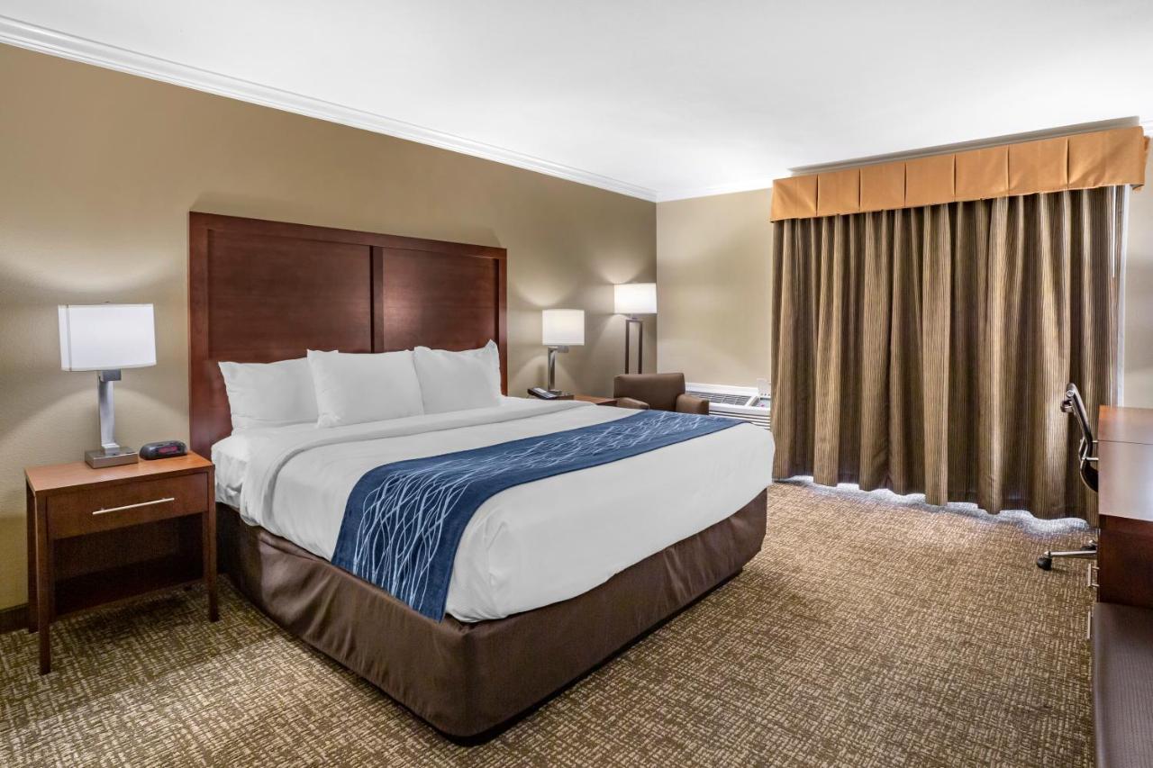 Deluxe Room, 1 King Bed, Non Smoking