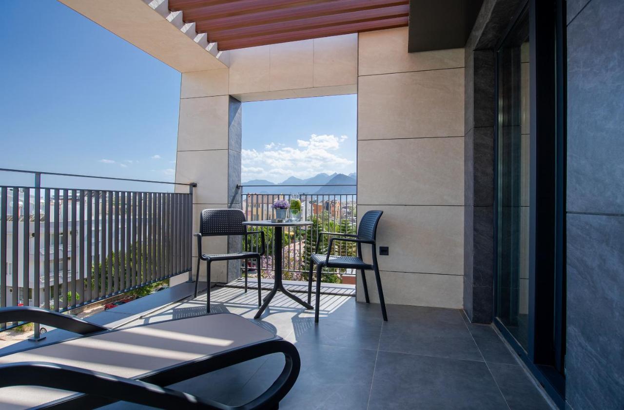 Studio Terrace MEDIUM TERRACE