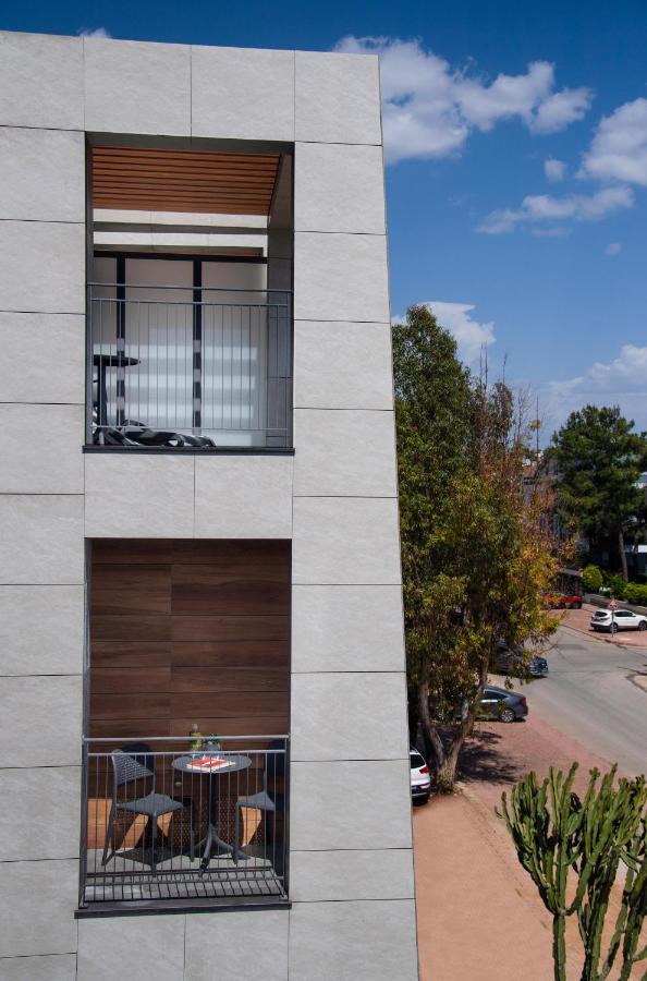 One-Bedroom Apartment LARGE