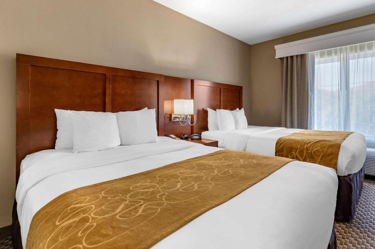 Queen Suite with 2 Queen Beds and Sofa Bed - Disability Access - Non Smoking