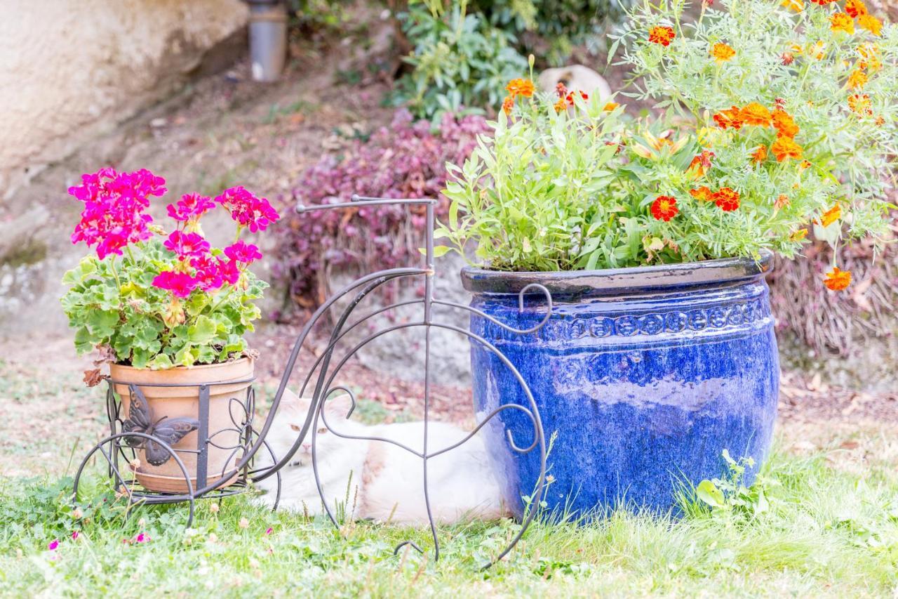 Chambre Double - Vue sur Jardin