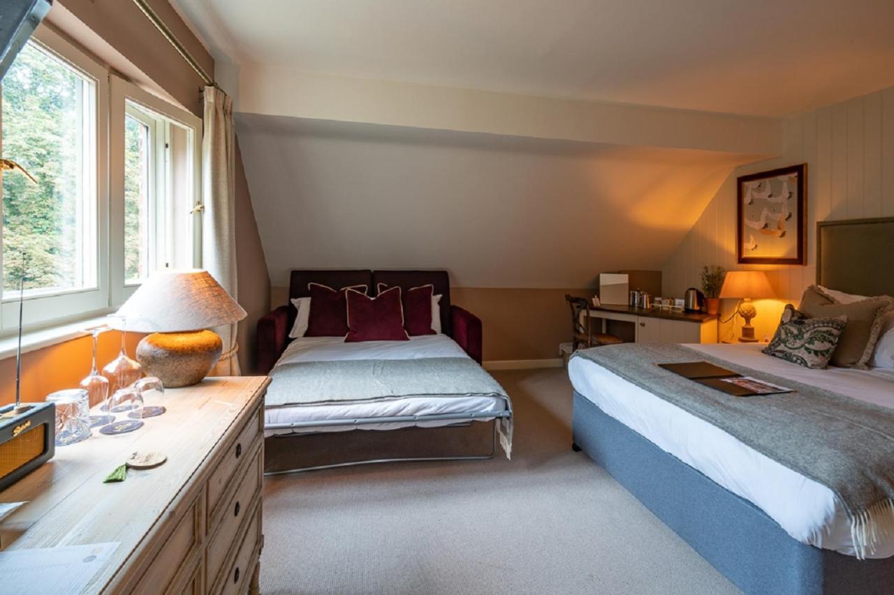 Executive Family Room (2 Adults 2 Children)