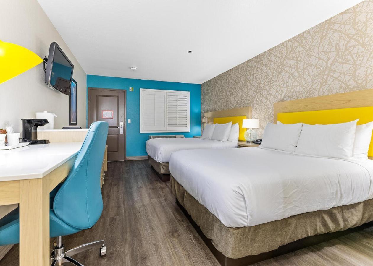 Standard Double Room with Two Double Beds - Non Smoking