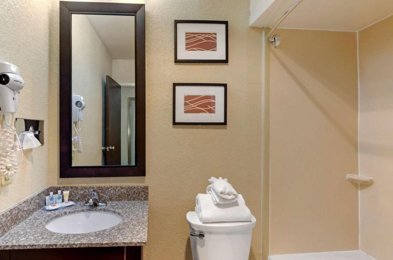 Standard Double Room with Two Double Beds - Non-Smoking