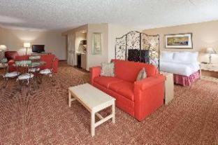 1 King Bed, Deluxe Family Studio Suite, Non-Smoking