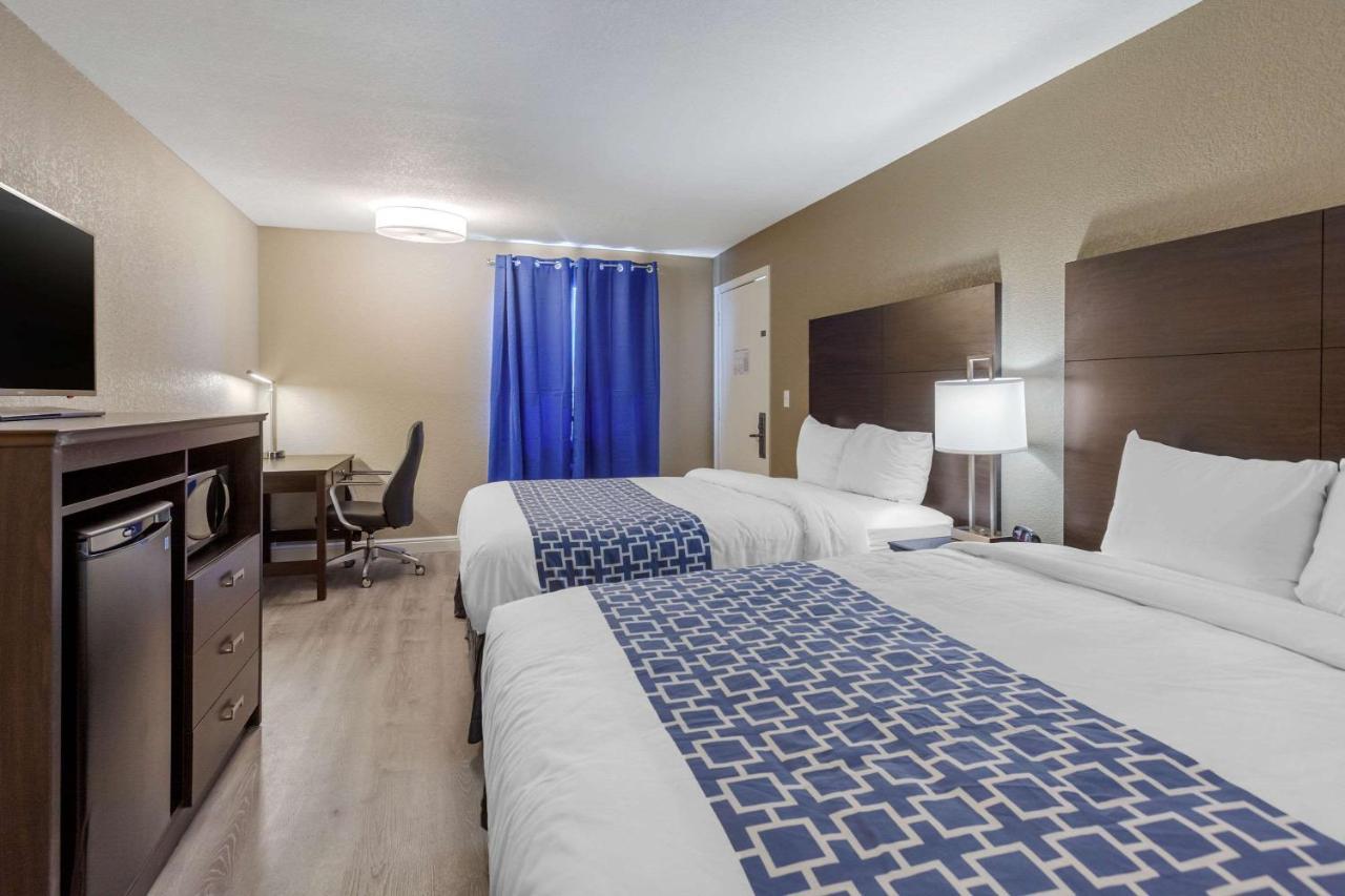 Double Suite with Two Double Beds - Non-Smoking