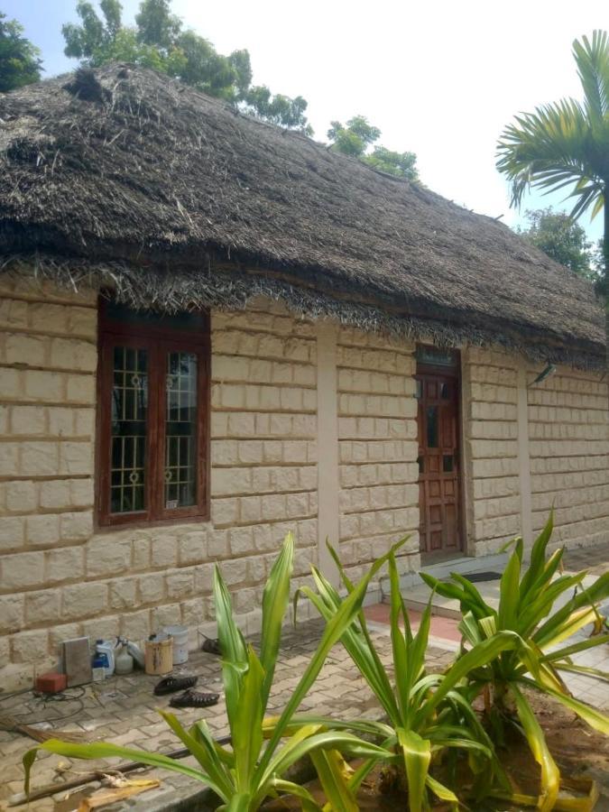 10-Bed Male Dormitory Room