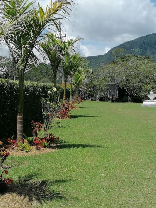 Premier Garden Family