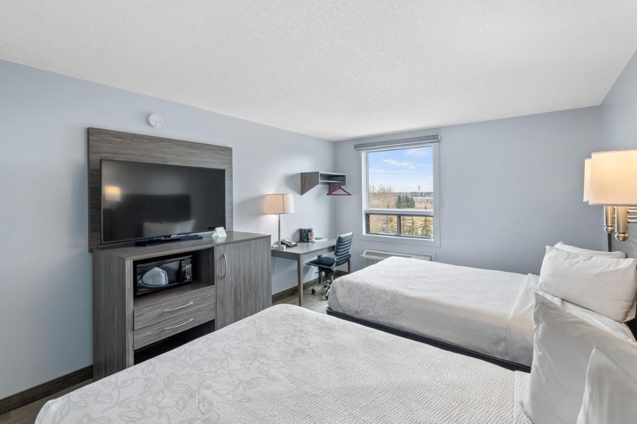 Superior Double Room with Two Double Beds - Non Smoking